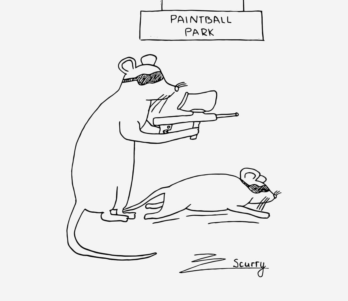 310918429_3325330464349254_1794613226459358932_n