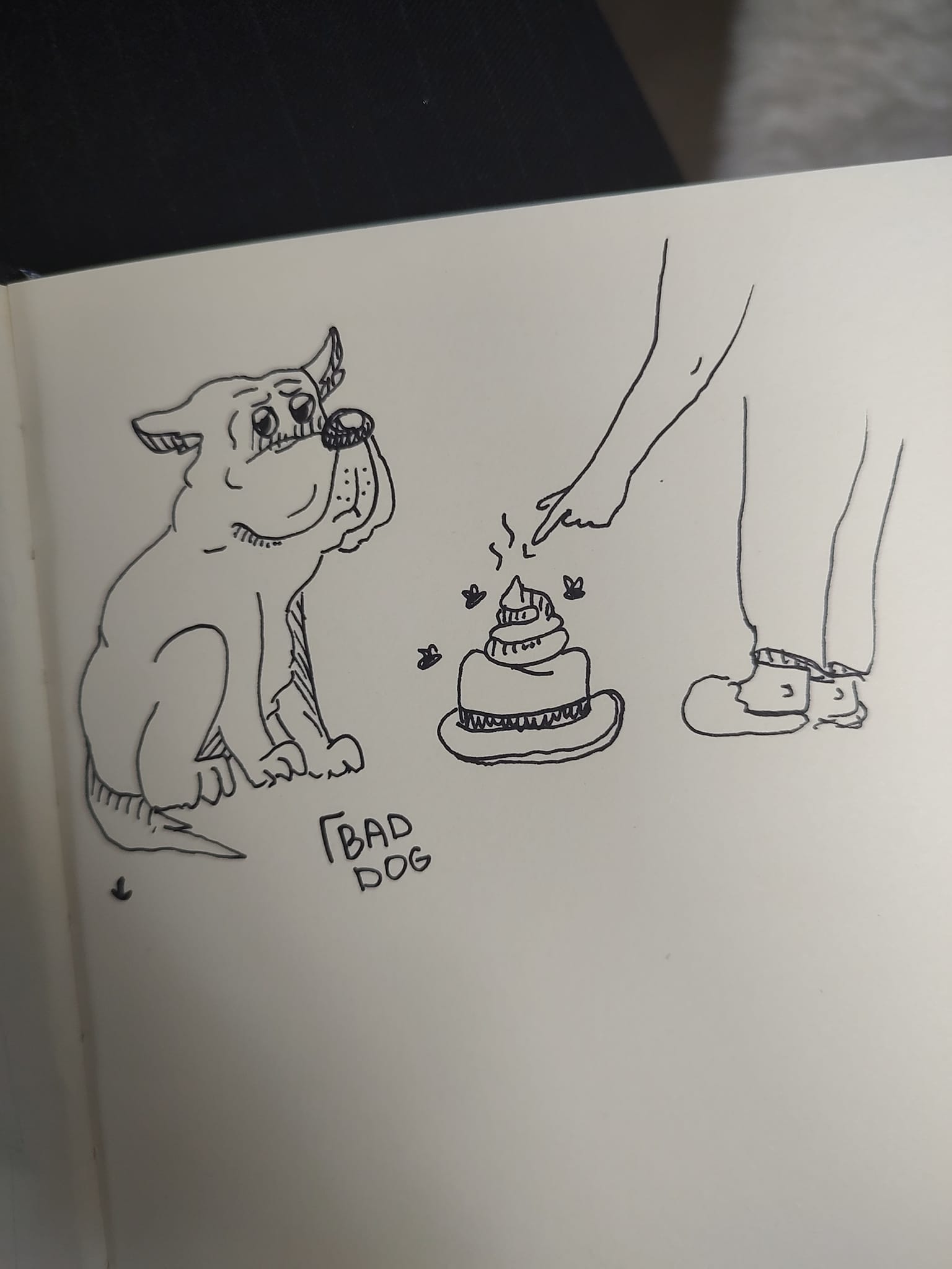 310996702_5993543137351629_2787396491873653481_n